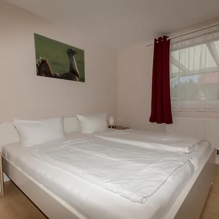 Grosstrappe Im Sternenpark *