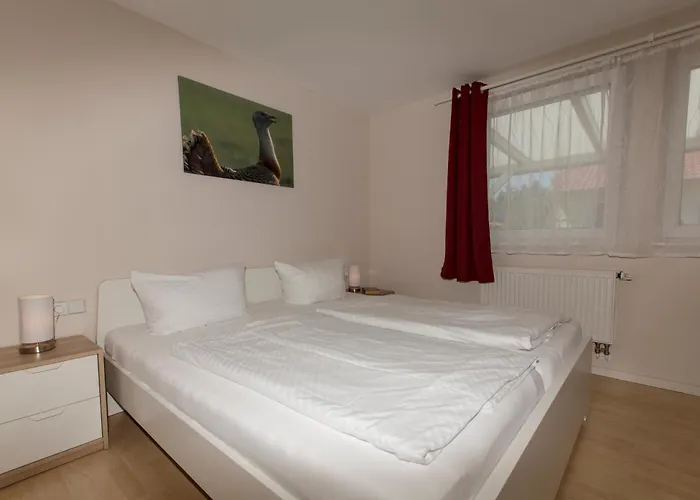 Grosstrappe Im Sternenpark *